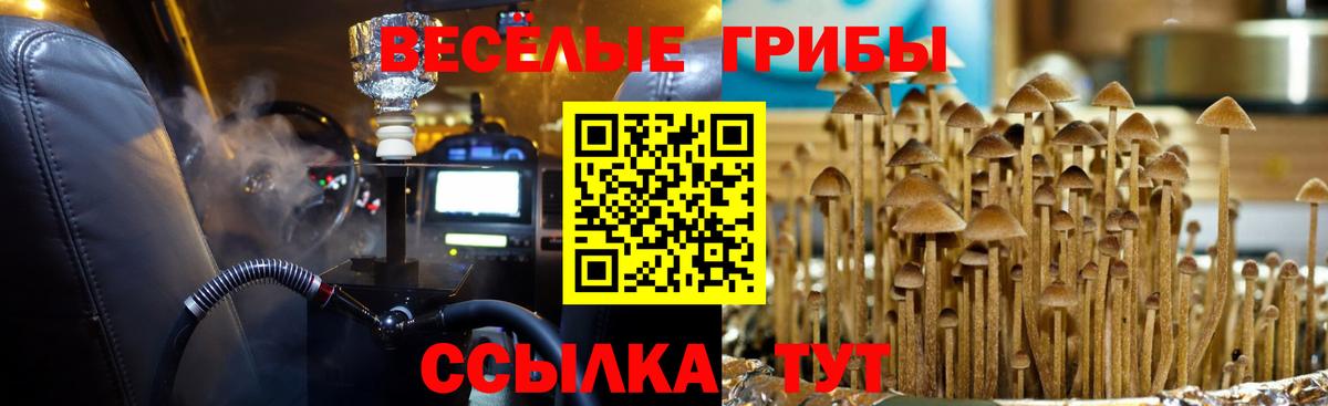 Лабинск  Галлюциногенные грибы прущие грибы  Вход с VPN 